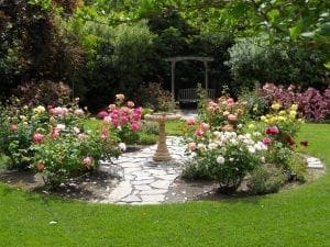 best-photo-backyard-rose-garden-outdoors-water-fountain-grass-chair-exterior-flower-plant-tree-appealing
