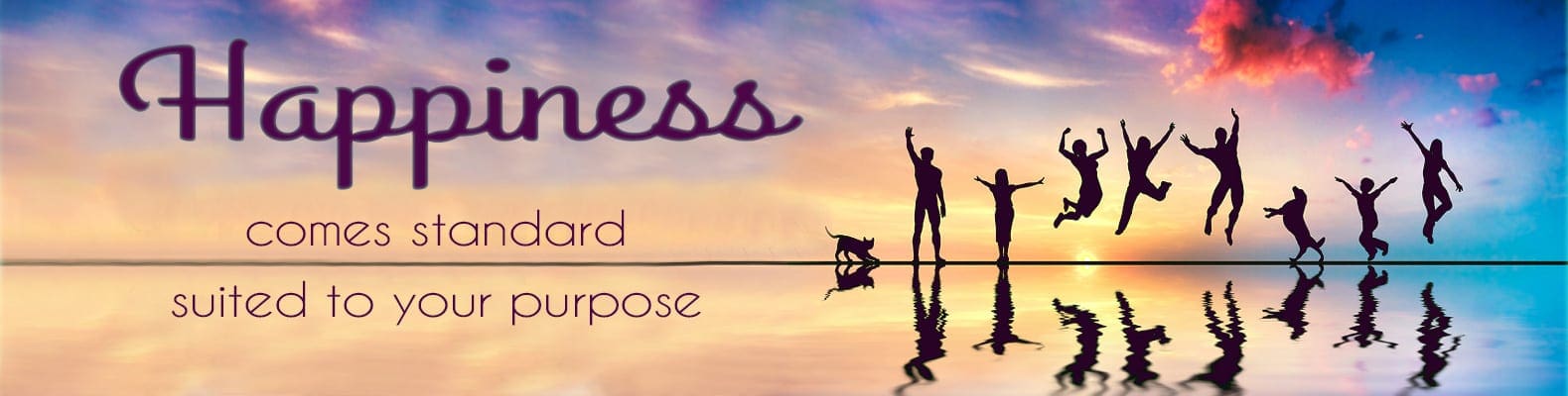 Success-Stories-Image-2 Success-Stories-Image-2