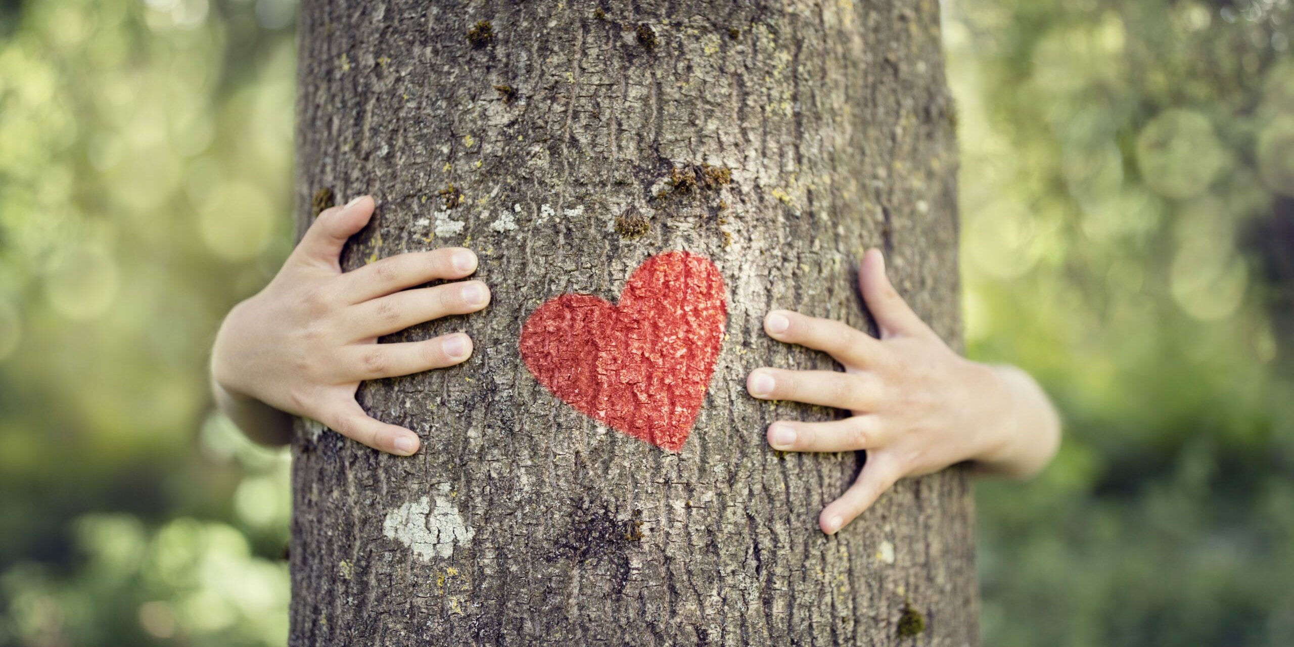 Tree hugging, little boy giving a tree a hug with red heart concept for love nature