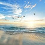beach-1852945_1280.