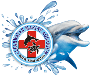 https://www.thesoulmedic.com/wp-content/uploads/clearwater-marine-aquarium-1.png