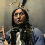 portrait-left-hand-bear-93751_640